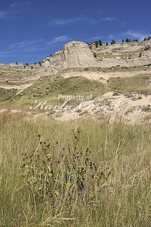 Scotts Bluff National Monument 16 - September 5, 2015