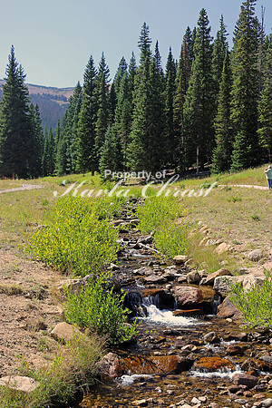 Rocky Mountain National Park 3 - September 9, 2015