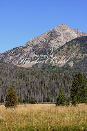 Rocky Mountain National Park 28 - September 9, 2015