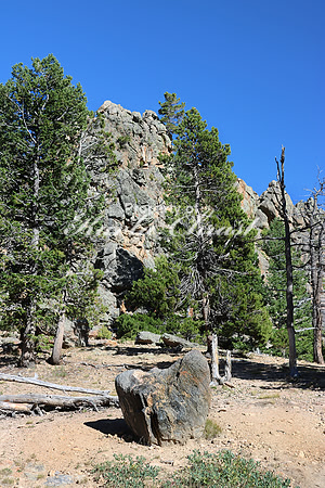 Rocky Mountain National Park 20 - September 8, 2015