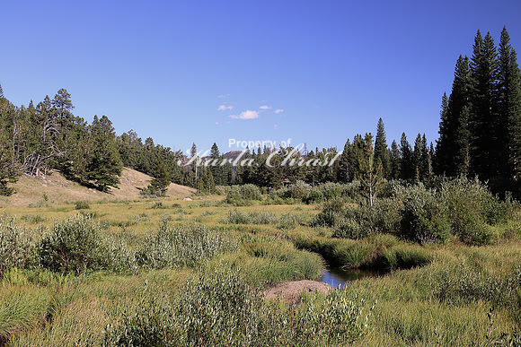 Rocky Mountain National Park 24 - September 8, 2015