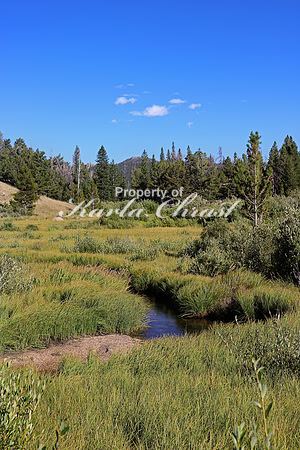 Rocky Mountain National Park 25 - September 8, 2015