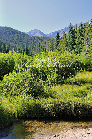 Rocky Mountain National Park 26 - September 8, 2015