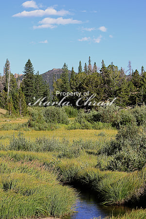 Rocky Mountain National Park 27 - September 8, 2015