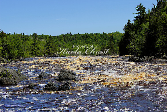 Jay Cooke State Park Minnesota 1 - June 8, 2014
