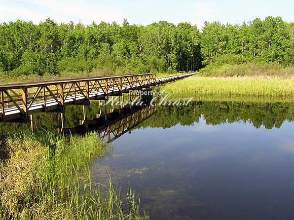 Bridge at Crex Meadows - May 25, 2007