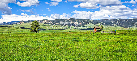 Fort Phil Kearny State Historic Site 49 - June 5, 2024 Wyoming