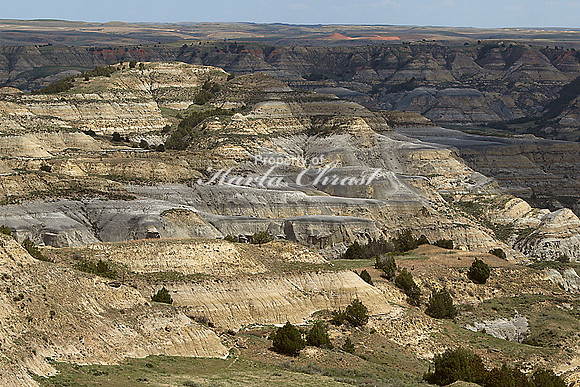 Theodore Roosevelt National Park North Dakota 3 - May 15, 2010