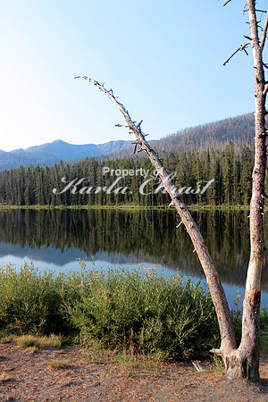 Sylvan Lake Yellowstone National Park 2 - September 3, 2012