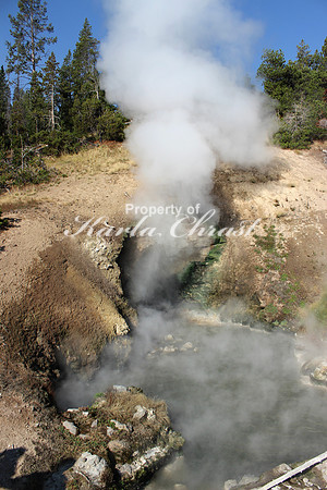 Dragon's Mouth Spring 1, September 3, 2012 Yellowstone National Park