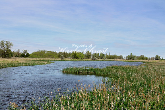 Quivira National Wildlife Refuge - April 29, 2019