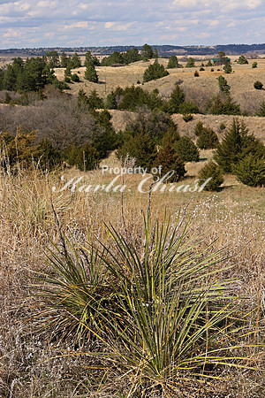 Cowboy Trail 1 - May 3, 2019