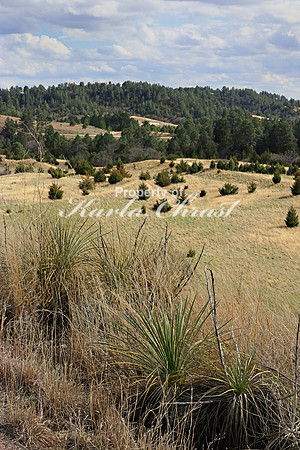 Cowboy Trail 3 - May 3, 2019