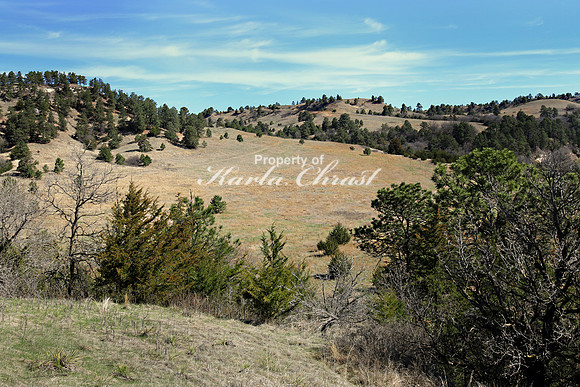Fort Niobrara National Wildlife Refuge 1 - May 2, 2019