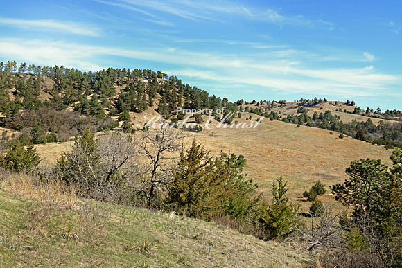 Fort Niobrara National Wildlife Refuge 2 - May 2, 2019