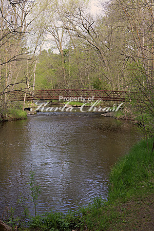 Charles A. Lindbergh State Park 1 - May 17, 2019