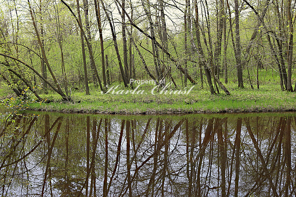 Charles A. Lindbergh State Park 2 - May 17, 2019