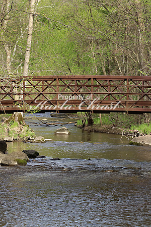Charles A. Lindbergh State Park 3 - May 17, 2019
