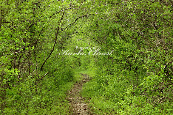 North Country National Scenic Trail 1 - May 27, 2019