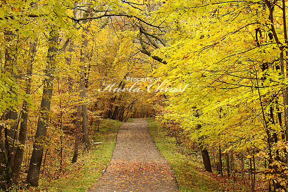 Glendalough State Park 5 - October 6, 2018
