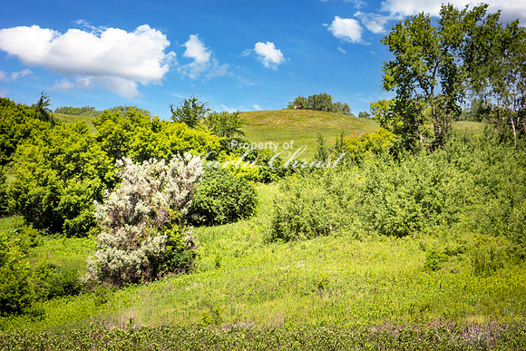 North Country National Scenic Trail 11 - June 28, 2023