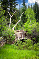 Custer State Park 68 - June 12, 2023