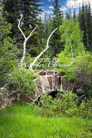 Custer State Park 68 - June 12, 2023