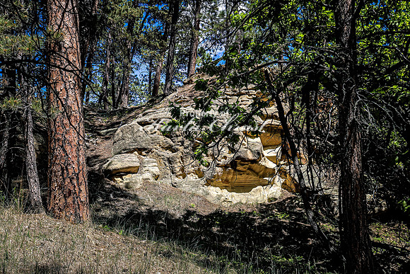 Devils Tower National Monument Joyner Ridge Trail 2- June 4, 2024