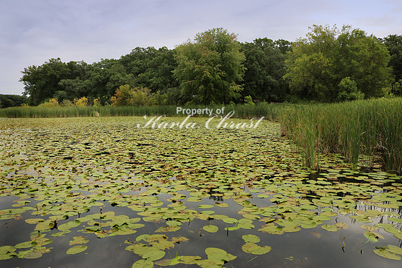 Signalness Lake 2 - August 31, 2019 Glacial Lakes State Park