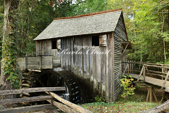 Cades Cove 2 - October 13, 2016 Great Smoky Mountains National Park