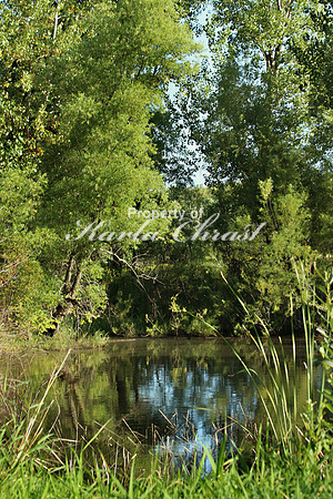 Camden State Park 3 - August 23, 2019