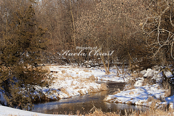 Sibley State Park 1 - January 5, 2019