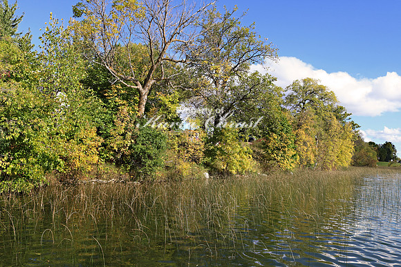 North Country National Scenic Trail 4 - September 28, 2019