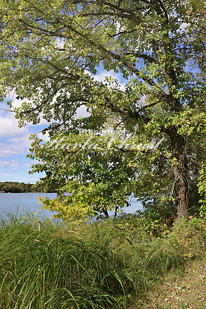 North Country National Scenic Trail 6 - September 28, 2019