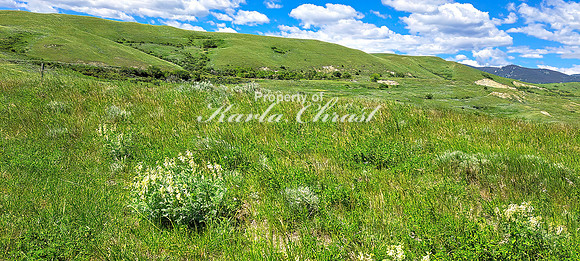 Fetterman Massacre Monument 14 - June 5, 2024 Wyoming