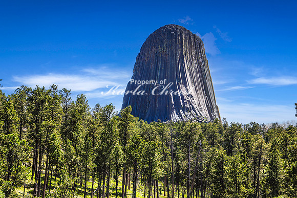 Devils Tower National Monument 17 - June 4, 2024