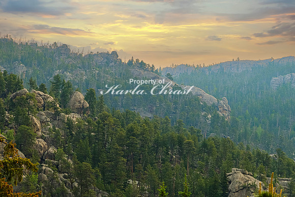 Custer State Park 70 - June 12, 2023