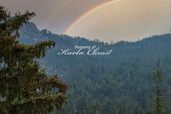 Custer State Park 69 - June 12, 2023