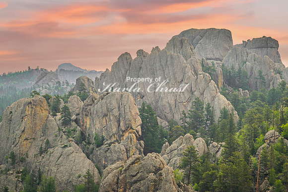 Custer State Park 65 - June 12, 2023