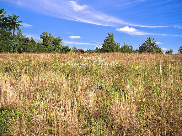 Lake Vermillion Recreation Area 8 - August 10, 2023