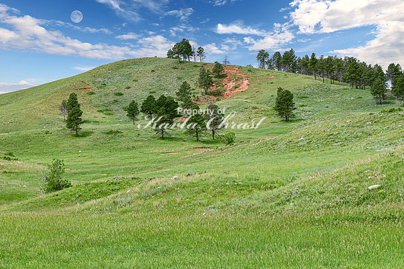 Custer State Park 77 - June 12, 2023