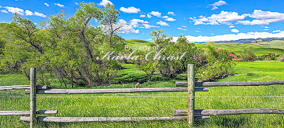 Fort Phil Kearny State Historic Site 40 - June 5, 2024 Wyoming