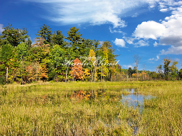 Tamarac National Wildlife Refuge 48 - September 26, 2023