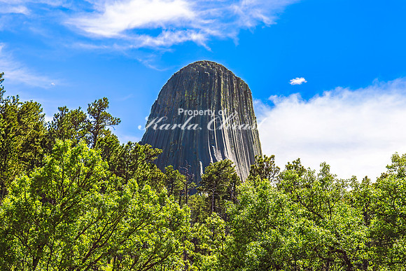 Devils Tower National Monument 15 - June 4, 2024