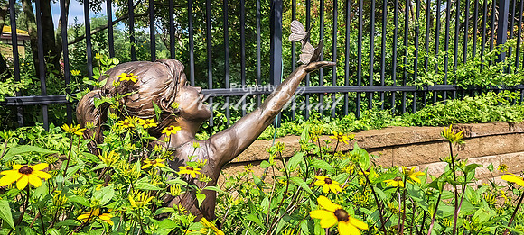 Garden Art 2 - August 01, 2024