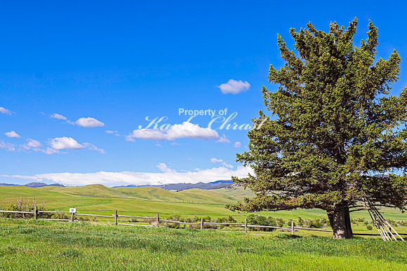 Fort Phil Kearny State Historic Site 7 - June 5, 2024 Wyoming