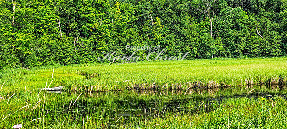 North Country National Scenic Trail 28 - July 30, 2024