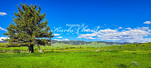 Fort Phil Kearny State Historic Site 31 - June 5, 2024 Wyoming