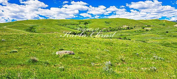 Fetterman Massacre Monument 8 - June 5, 2024 Wyoming