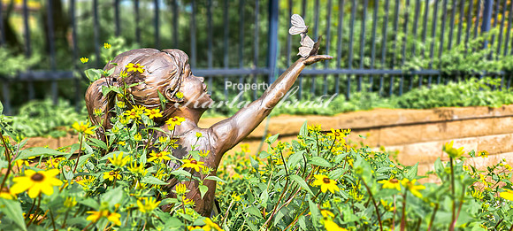 Garden Art 1 - August 01, 2024